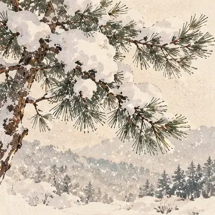 6ae1ff3c556eb.webp